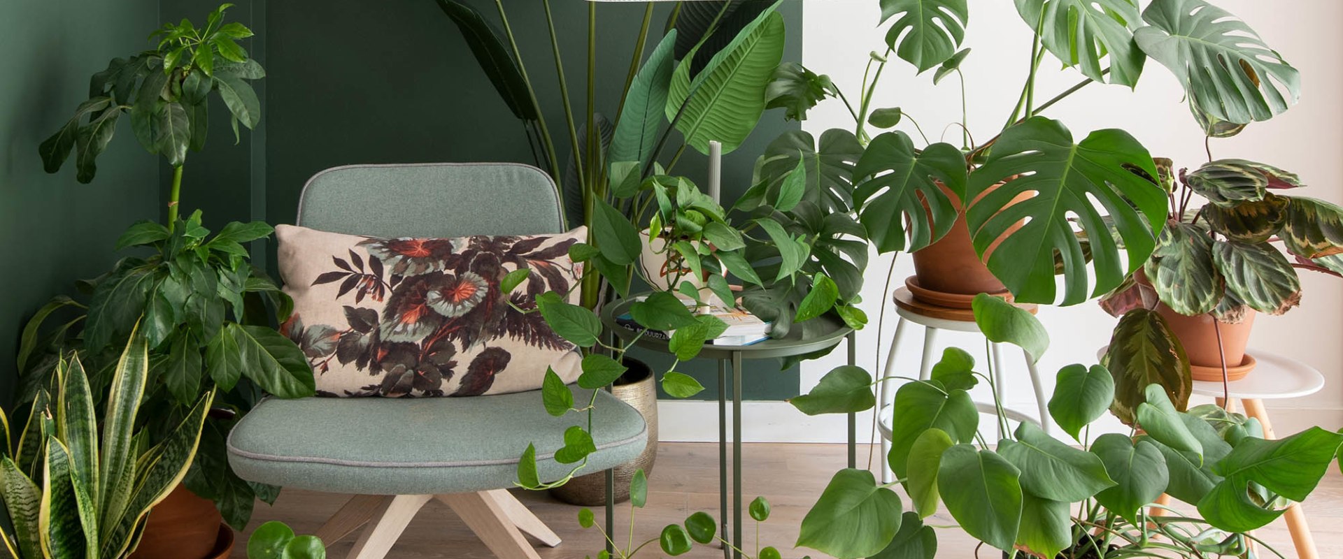 Omvang groen materiale in huisopknappings