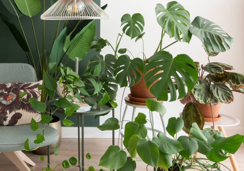Omvang groen materiale in huisopknappings