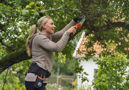 Transformering van jou buitelugruimte: die kuns van tuinlandskap en -ontwerp